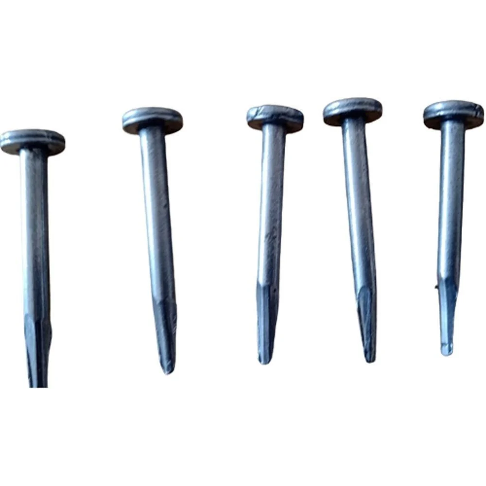 ROOFING NAILS (JASTI)